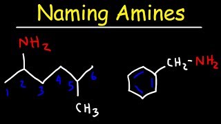 Naming Amines  IUPAC Nomenclature amp Common Names [upl. by Xuagram631]