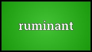 Ruminant Meaning [upl. by Adnamra131]