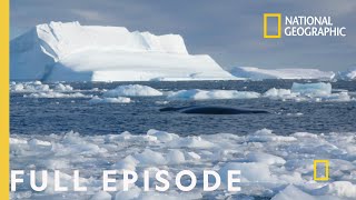 Storming Antarctica Full Episode  Continent 7 Antarctica [upl. by Dal643]