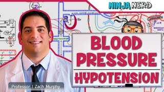 Cardiovascular  Blood Pressure Regulation  Hypotension [upl. by Lal800]