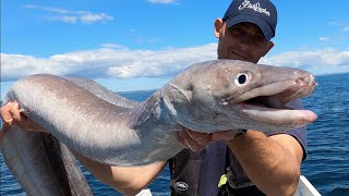 Deep Sea Fishing on Shipwrecks  Ling amp Conger Fishing  Sea Fishing UK  The Fish Locker [upl. by Ahtnammas37]