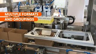 American Box PickandPlace Automatic Packaging Machine [upl. by Loginov]