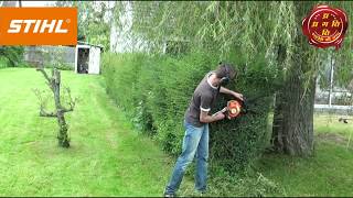 STIHL Hedge Trimmer HS 45 [upl. by Greenland]