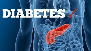 Diabetes onze bloedsuiker uitgelegd [upl. by Addiel]