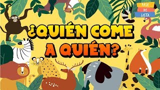 🙊QUÉ ES LA CADENA ALIMENTICIA y CÓMO FUNCIONA🦄  Explicación SENCILLA 🤓VideoS EducativoS [upl. by Japeth]