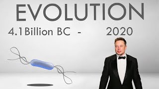 Human Evolution  41 Billion BC  2020 [upl. by Ariahay]