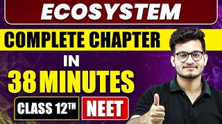 Ecosystem in 38 Minutes  Full Chapter Revision  Class 12th NEET [upl. by Kulsrud]