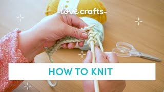 How to Knit  for absolute BEGINNERS [upl. by Haidabo]