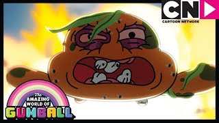 Korzenie  Niesamowity świat Gumballa  Cartoon Network [upl. by Eisoj]