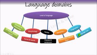 Phonetics  Phonology  Morphology  Syntax  Semantics  Pragmatics [upl. by Cleon]