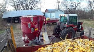 Grinding cattle feed from ear corn recipe part 2 [upl. by Ninnetta505]