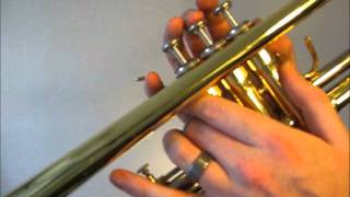 Learn to play C major scale on trumpet [upl. by Aniretak257]