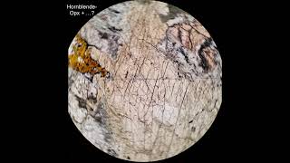 Hornblende tutorial Optical mineralogy [upl. by Ahaelam537]