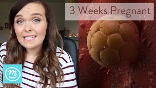 3 Weeks Pregnant What You Need To Know  Channel Mum [upl. by Aehtela]