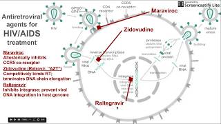 Antiretroviral agents for HIV  AIDS treatment [upl. by Ithnan839]