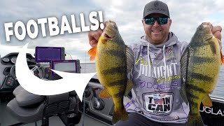 Spring Perch Fishing Tips [upl. by Sirraj]