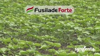 Syngenta herbicidi – Fusilade Forte® [upl. by Edge]