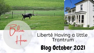 Belvoir House Blog  Libberte Tantrum [upl. by Debra]