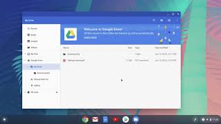 How to Use the Files App or File Management on your Chromebook [upl. by Rotciv710]