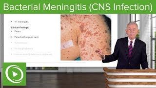 1 Overview meningitis and encephalitis [upl. by Hahnert]