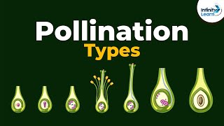 Types of Pollination  Dont Memorise [upl. by Assiron717]