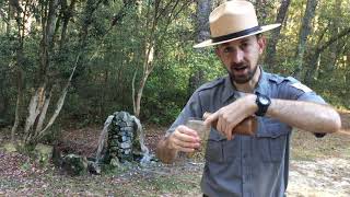 Learn How An Artesian Well Works at Aiken State Park [upl. by Fredkin979]