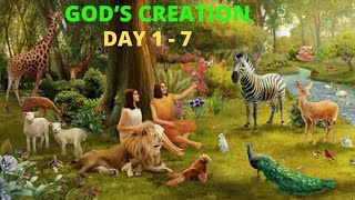 Gods Creation  Day 17  The Story of Creation [upl. by Amieva98]