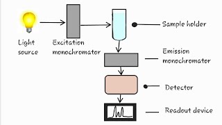 Fluroscence spectroscopy  flurometry spectroflurometry [upl. by Tumer630]