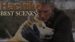 Hachiko A Dogs Story Behind The Scenes [upl. by Hanforrd]