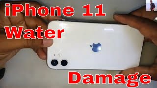 How to Fix iPhone 11 Water Damage Repair [upl. by Souvaine]