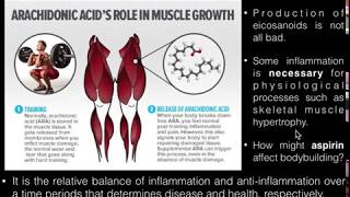 PUFAs Basics of Arachidonic Acid and its Metabolism [upl. by Jorry]