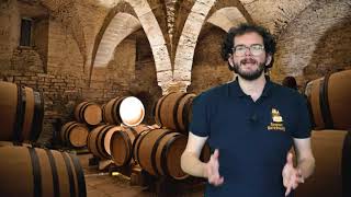 Virtual Tour of Beaune The Wine Capital of Burgundy Part 2 [upl. by Armahs]