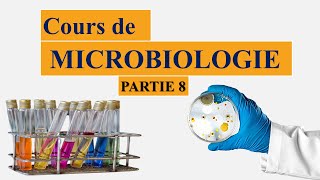 cours de microbiologie partie 8  la morphologie générale dune bactérie  les formes des bactéries [upl. by Lachlan741]