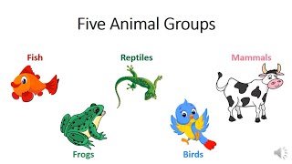 The Five Animal Groups  Grade Two  Science For Kids [upl. by Nylrehs804]