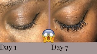 7 DAY OF CASTOR OIL GREW MY EYELASHES CRAZY RESULTS [upl. by Elaen]