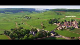 The vineyard of Bourgogne seen from the sky [upl. by Aronoff]