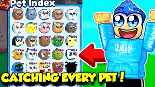 CATCHING EVERY PET IN ROBLOX PET CATCHERS [upl. by Brodench]