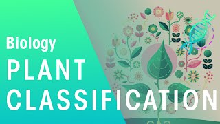 Plant Classification  Evolution  Biology  FuseSchool [upl. by Atirys]