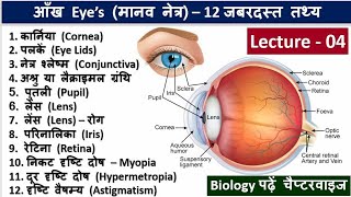 4Eye Basic Structure in Hindi Biology in Hindi by Nitin Sir Study91 Eye Related Question Answer [upl. by Aed]