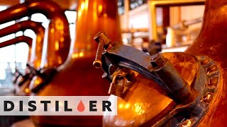 How a Pot Still Works  Distiller [upl. by Catlaina]