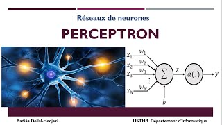 Le perceptron  Réseau de neurones simple [upl. by Debbee692]