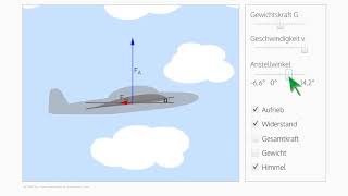 Physik des Fliegens – einfach erklärt [upl. by Haelem908]