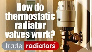 How Do Thermostatic Radiator Valves Work  by Trade Radiators [upl. by Nesiaj]