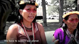 Indigenous Peoples Day The Waorani people [upl. by Pilihp]