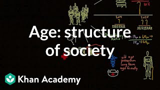 Demographic structure of society  age  Society and Culture  MCAT  Khan Academy [upl. by Lambard]