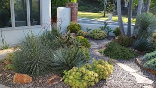 Design Ideas from an AwardWinning Succulent Garden [upl. by Allana276]