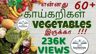 60 காய்கறிகள் பெயர்கள் vegetables name in tamil and english [upl. by Bearce]