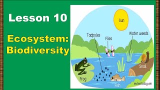 Lesson 10 Ecosystem Biodiversity [upl. by Zeuqirdor302]