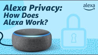 Alexa Privacy How Does Alexa Work [upl. by Nalon]