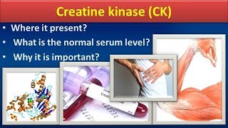 Creatine KinaseCKClear overview [upl. by Otrevlig]